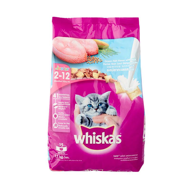 Jual Whiskas Kucing Umur 1 Bulan Termurah Harga Grosir Terupdate