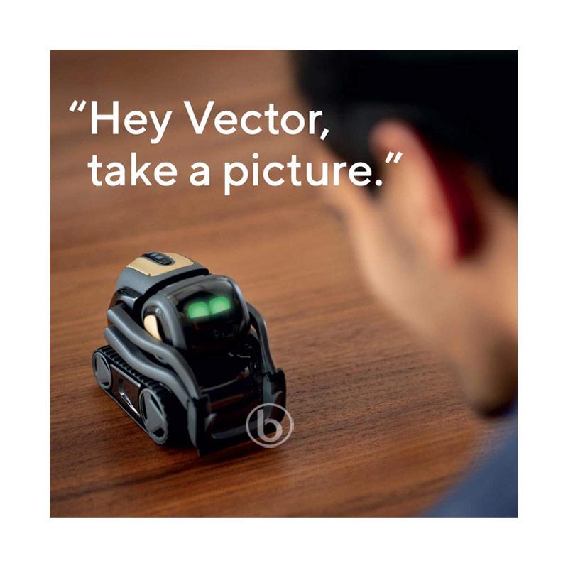 vector robot harga