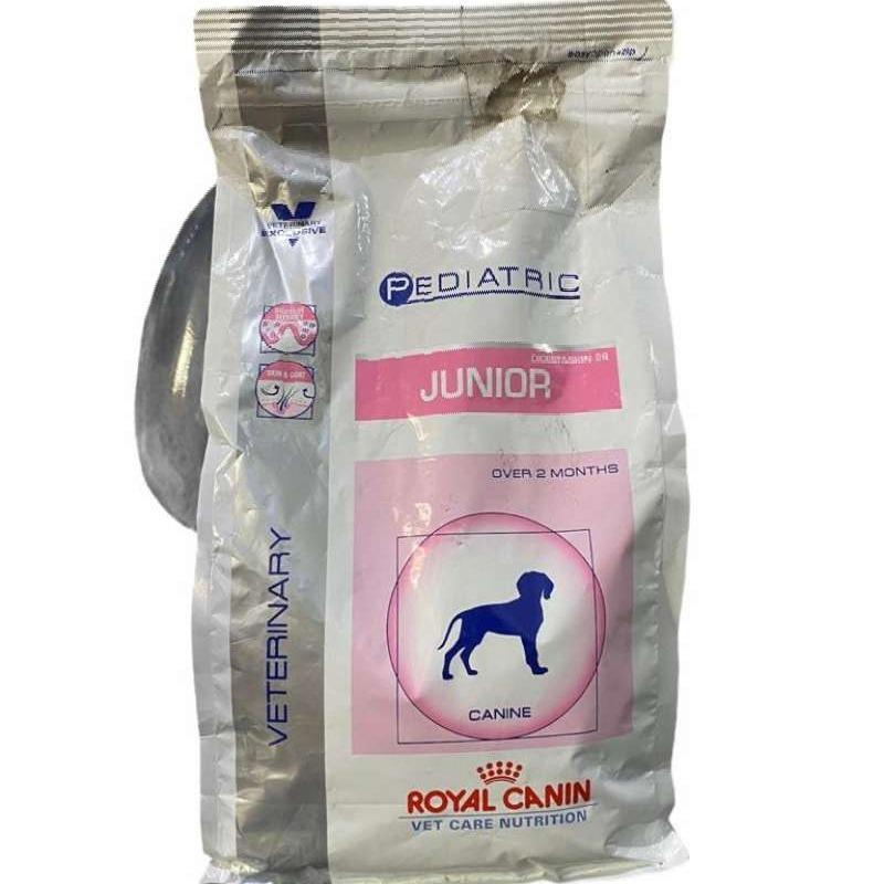 Royal canin pediatric junior discount