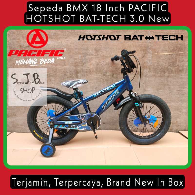 引取り限定 BMX 若々しい HOFFMAN 18インチ 売買されたオークション情報 落札价格 【au payマーケット】の商品情報をアーカイブ公開