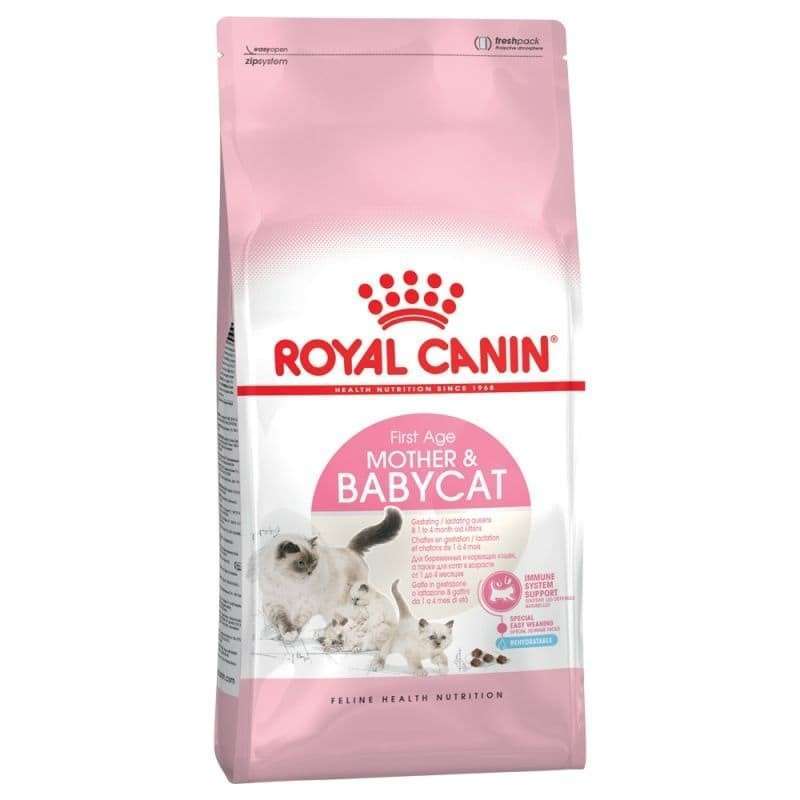 Harga royal canin kucing top