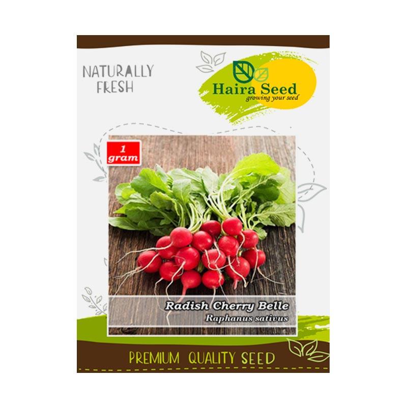 Semua Tentang Cherry Belle Radish Seeds Terlengkap
