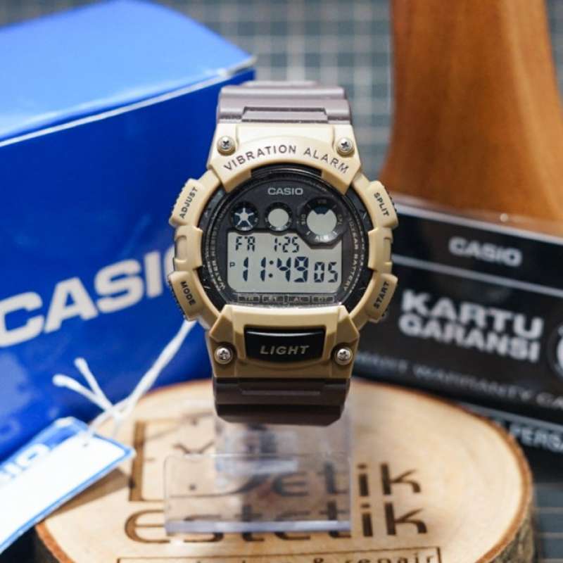 casio vib alarm