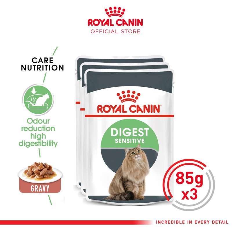Royal canin digestive care wet store cat food