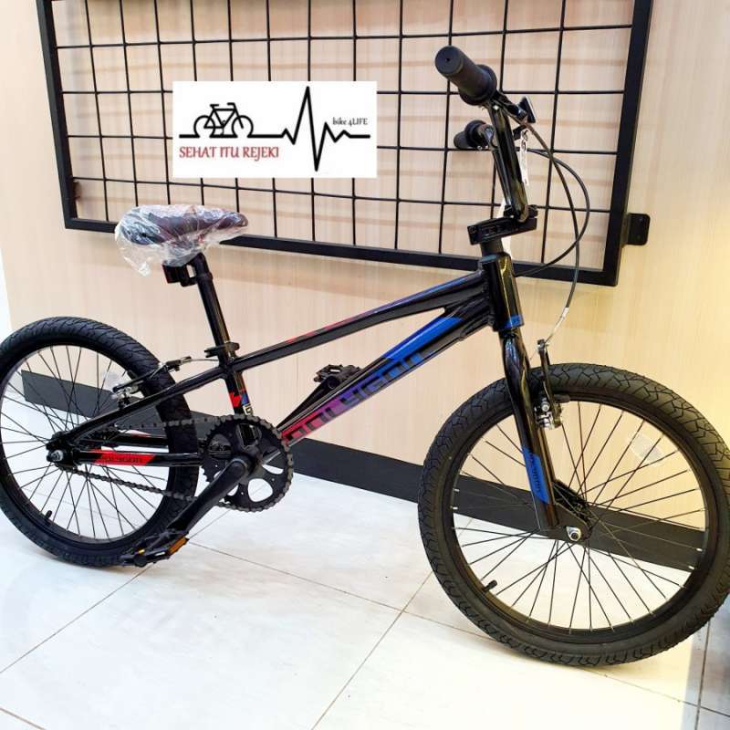 bmx race polygon