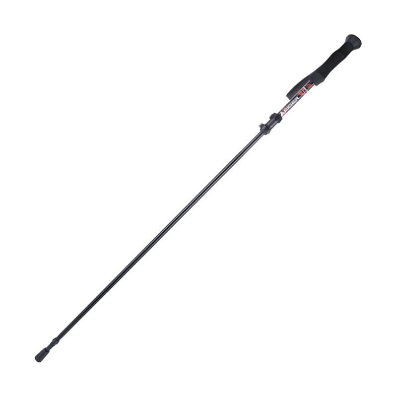 eiger trekking pole