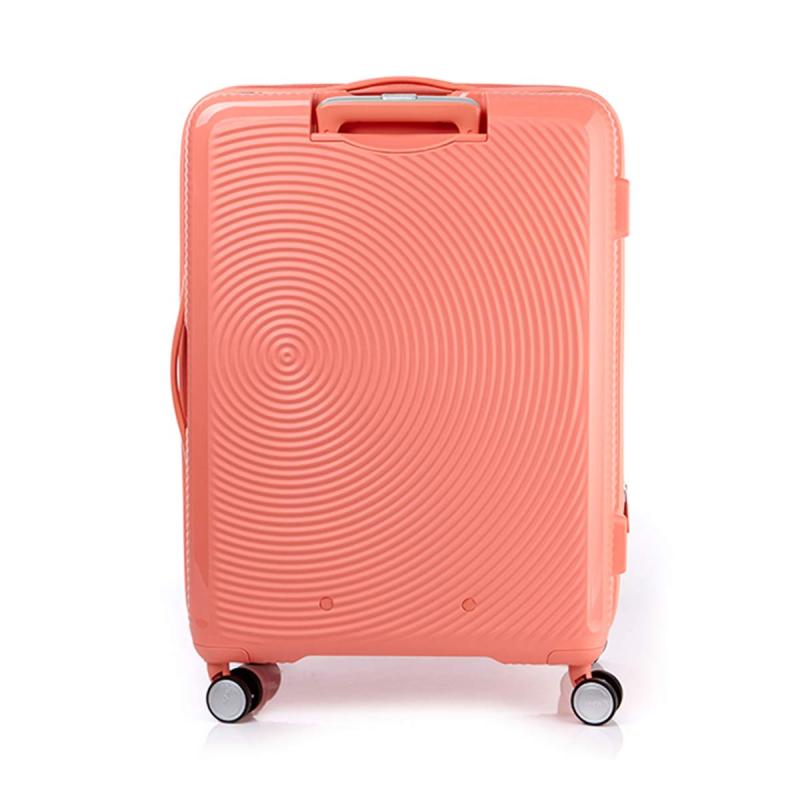 american tourister curio 29