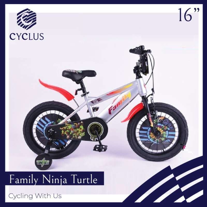 16 inch ninja turtle bike top