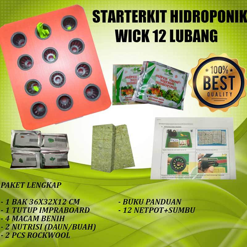 Aneka Pilihan Starter Kit Hidroponik Untuk Pemula Blibli Friends