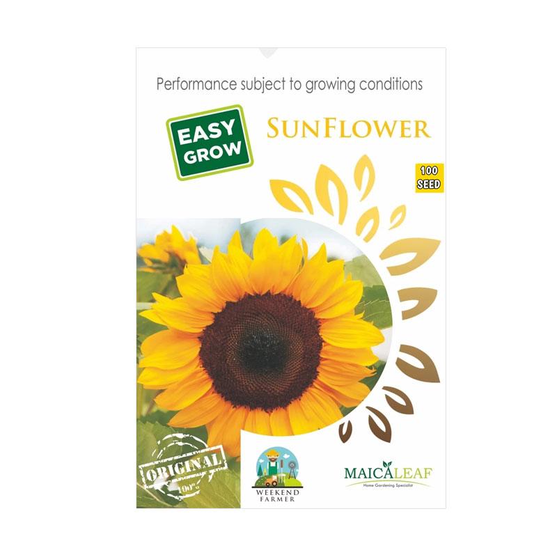 Jual Maica Leaf Bibit Bunga Matahari Sunflower 100 Butir Online November 2020 Blibli Com