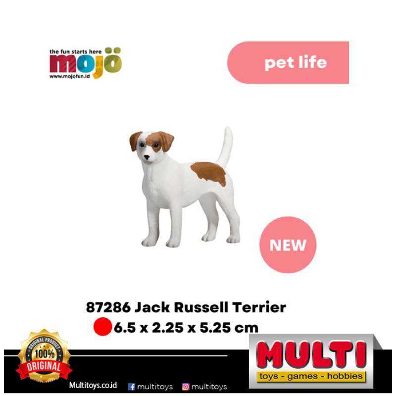 Jual jack russell terrier hotsell
