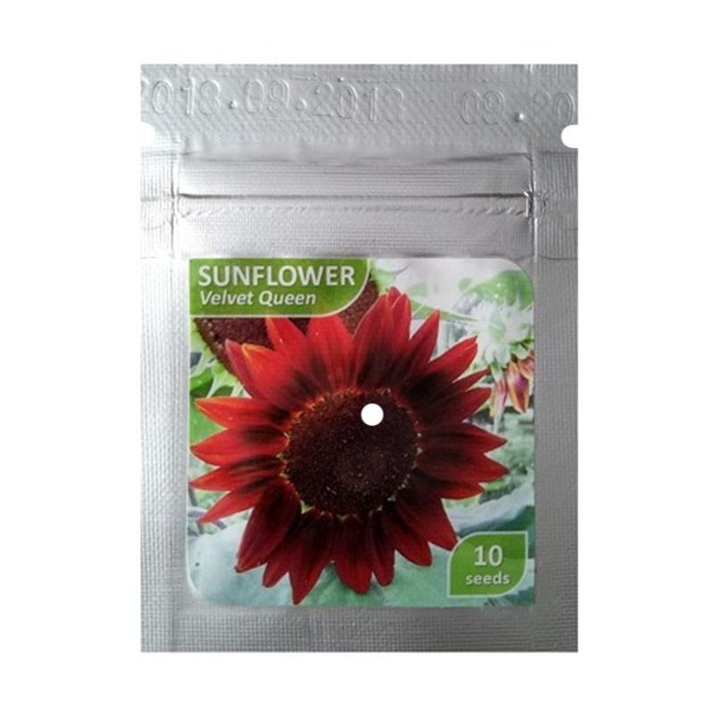 Jual Oem Benih Sunflower Velvet Queen Matahari Bibit Bunga Online Oktober 2020 Blibli Com