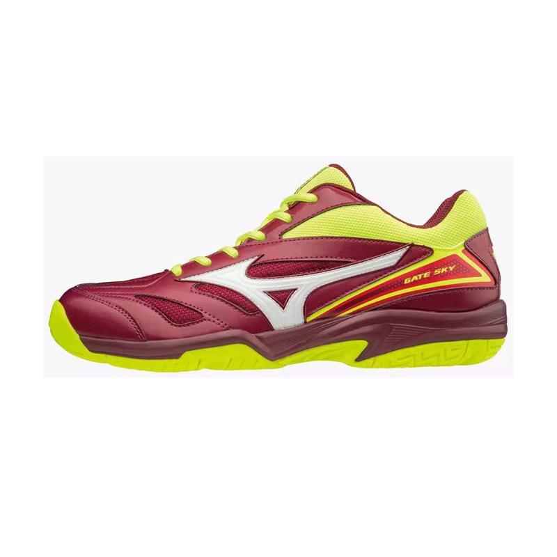 gate sky mizuno