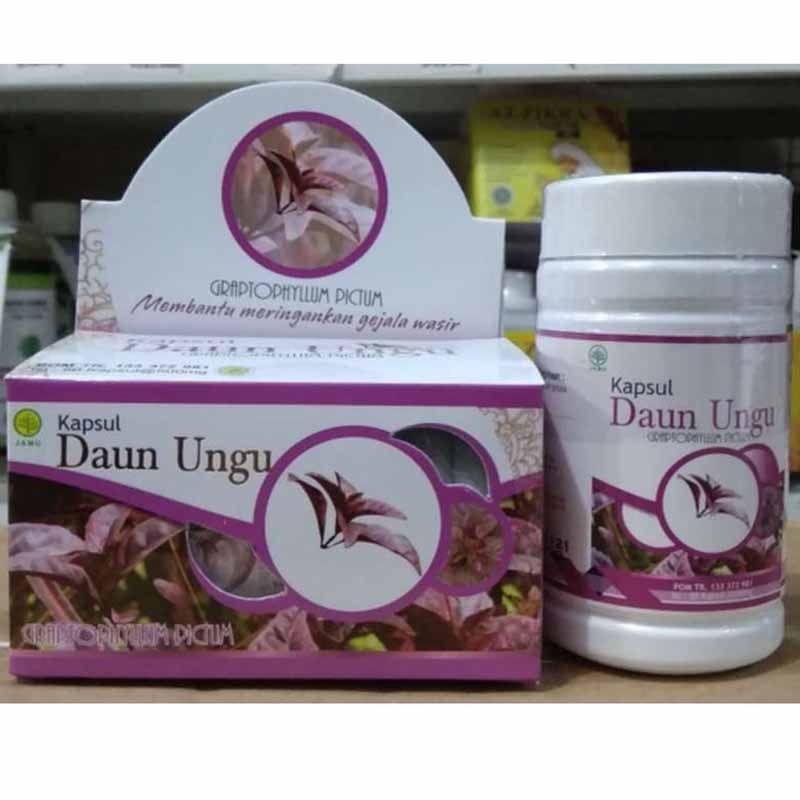 Jual Griya Annur Graptophyllum Pictum Kapsul Daun Ungu Obat Wasir Dan Ambeien Murah Mei 2021 Blibli
