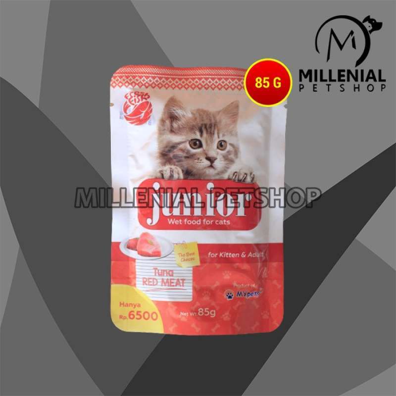 Wet food kucing online