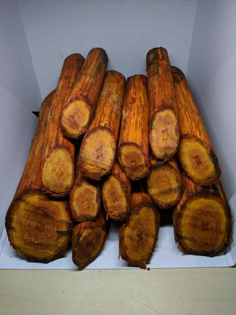 Jual Bajakah Kalalawit Akar Merah Kalimantan Obat Herbal Online September 2020 Blibli Com