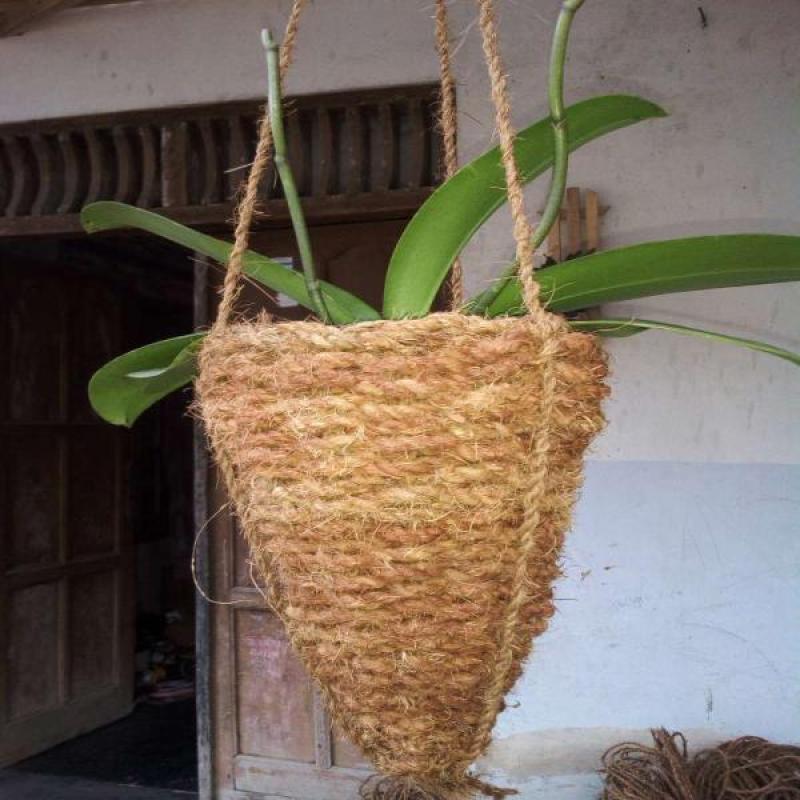 Jual Jual Pot Bunga Anggrek Sabut Kelapa Model Kerucut Online April 2021 Blibli