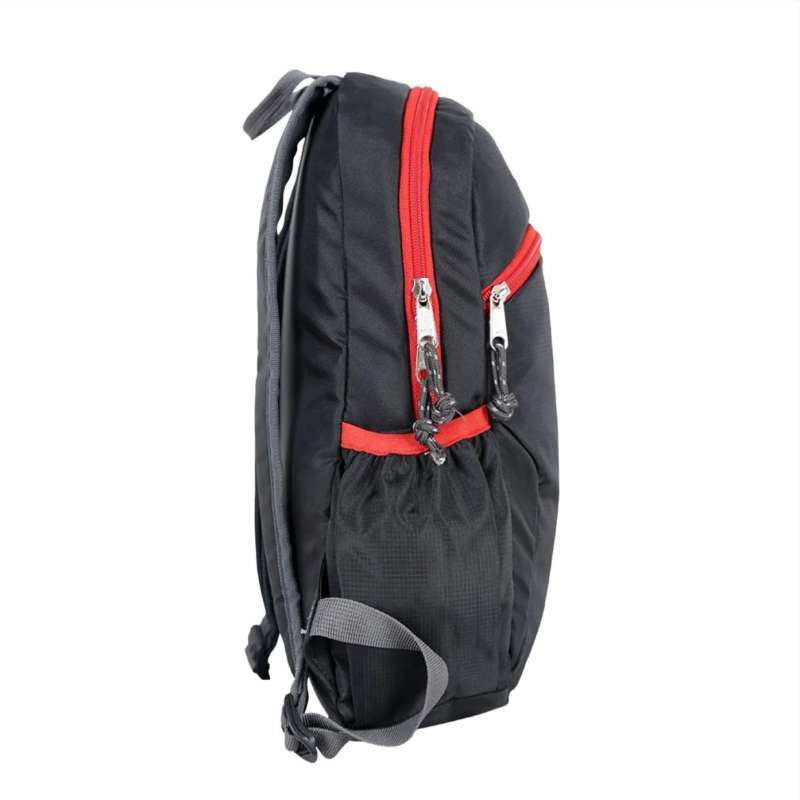 Daypack rei 10l sales