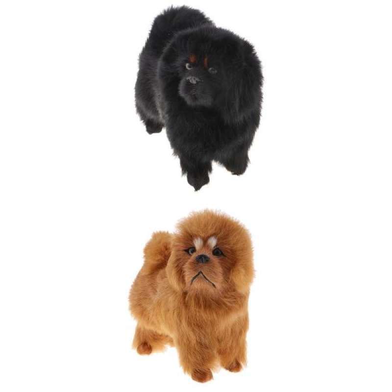 tibetan mastiff buy online