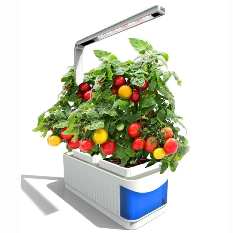 Indoor Hydroponic Herb Garden Kit 20 Led Grow Light Desk Lamp Us Plug Terbaru Agustus 2021 Harga Murah Kualitas Terjamin Blibli 20 Led Grow Light Desk Lamp, Indoor Herb Garden Kit With Grow Light