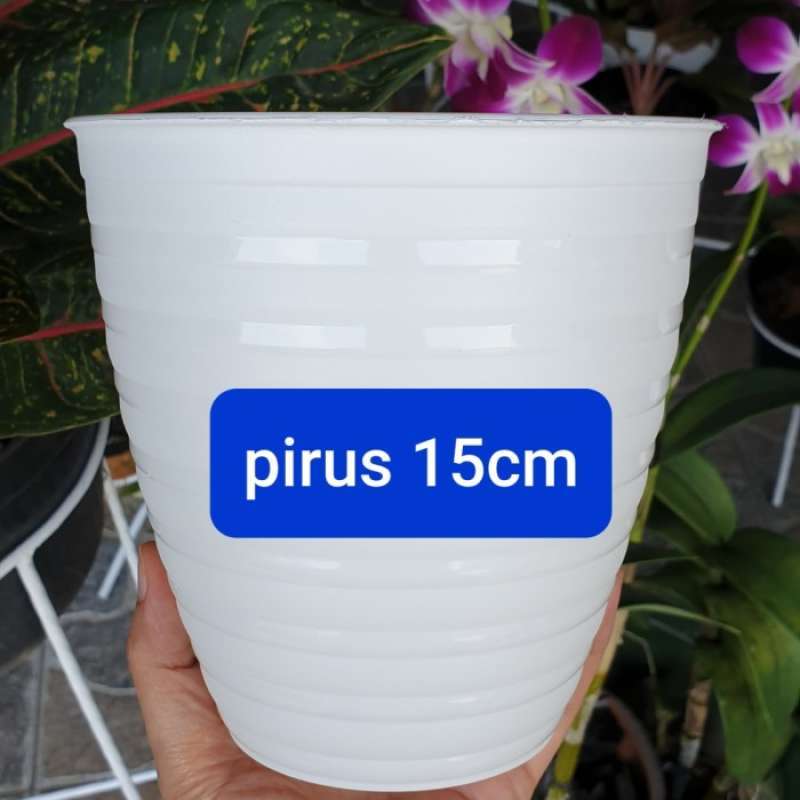 Jual Pot Bunga Plastik Putih Tawon Pirus Tirus 15 Cm Online April 2021 Blibli