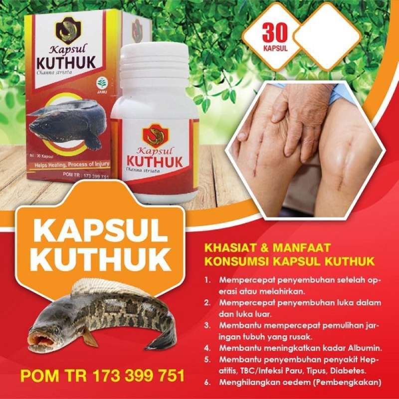 Kapsul Ekstrak Kuthuk Kapsul Ikan Gabus 30 Kapsul Terbaru Agustus 2021 Harga Murah Kualitas Terjamin Blibli