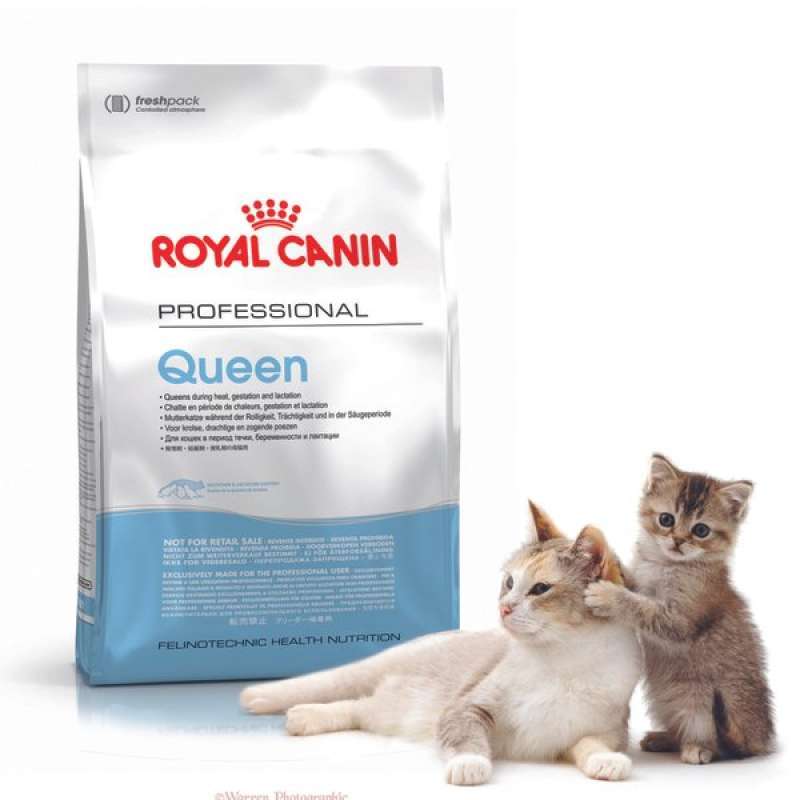 queen royal canin