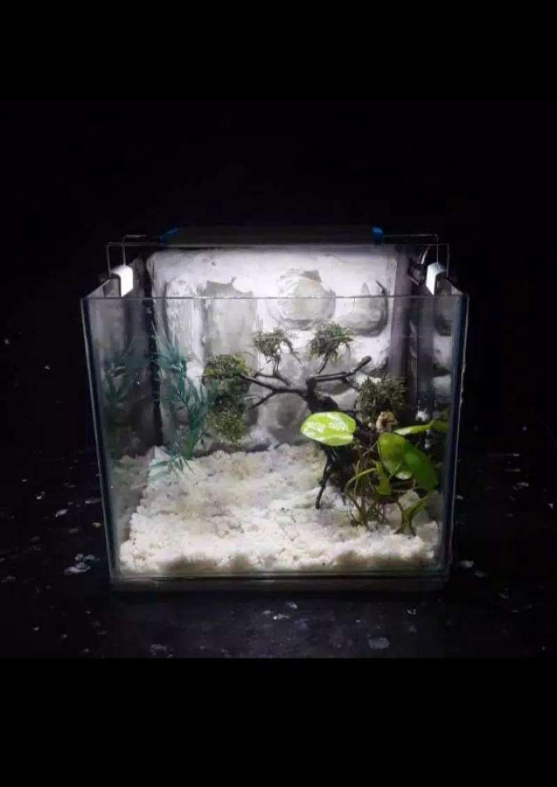 Aquarium 3d Size M Terbaru Agustus 2021 Harga Murah Kualitas Terjamin Blibli Aquarium tinggi 1 meter