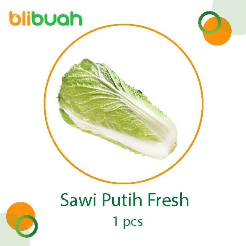 Jual Sawi Putih Fresh 1 Pcs Terbaru Juli 2021 Blibli