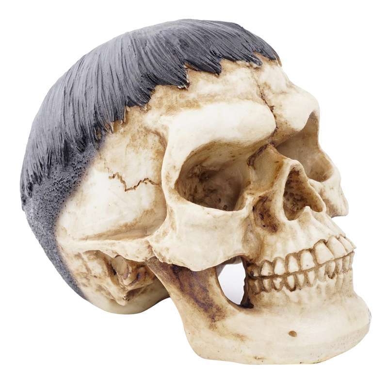 Jual Resin Human Skull Realistic Replica Skeleton Head Model Gallery Display Arts Online Maret 2021 Blibli More skull drawings/calligraphy practice, along with the tools used. resin human skull realistic replica skeleton head model gallery display arts