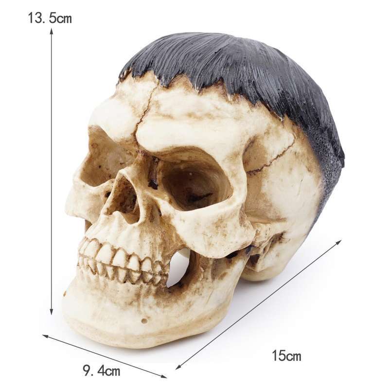 Jual Resin Human Skull Realistic Replica Skeleton Head Model Gallery Display Arts Online Maret 2021 Blibli Set of engraved vintage, hand drawn, old, labels or badges for camping, hiking, hunting with grizzly bear, moose. resin human skull realistic replica skeleton head model gallery display arts