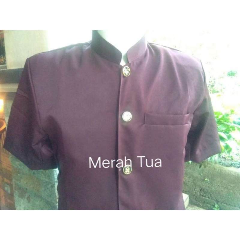 Jual Baju Safari Aneka Warna Murah Mei 2021 Blibli