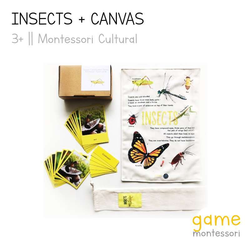 Jual Animal Classification (Insects A3 Print Only) di Seller GAME Montessori  - Kab. Tangerang, Banten | Blibli