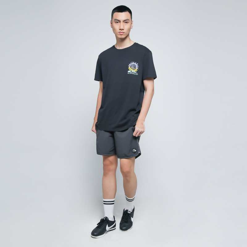quiksilver island pulse