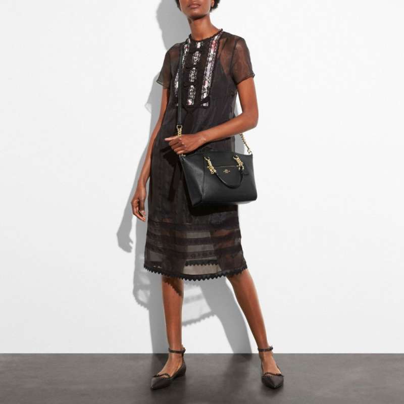 Chain prairie 2024 satchel