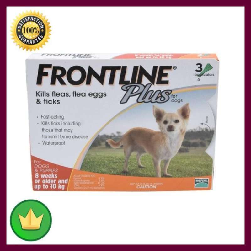 frontline anjing