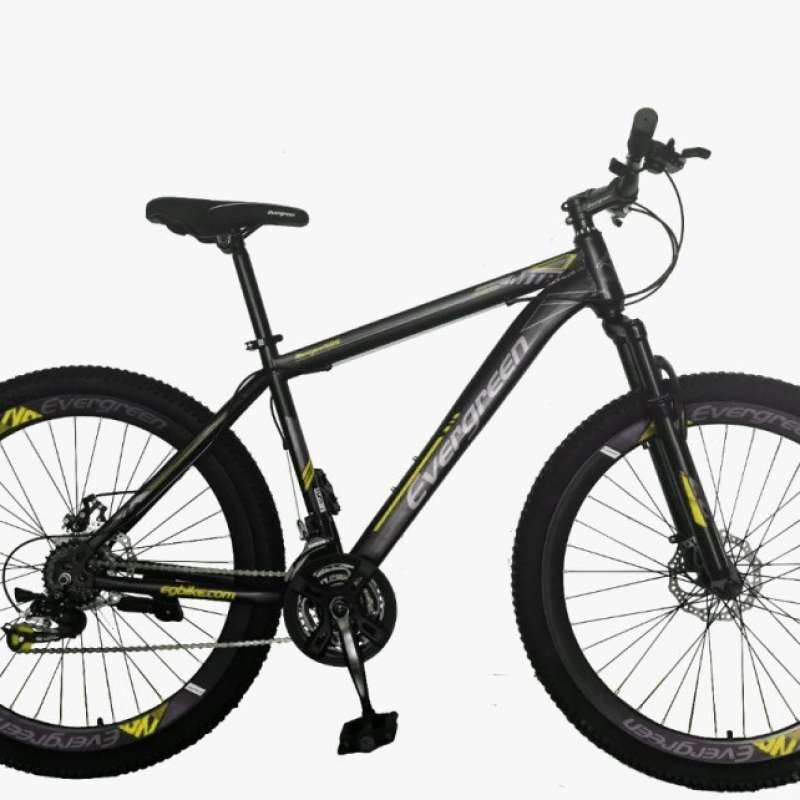 Promo Brecht Sepeda Gunung Mtb Evergreen Ranger 585 24