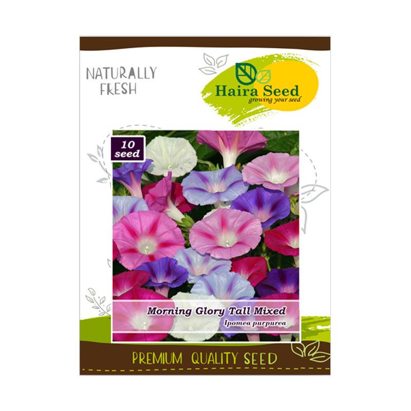 Jual Haira Seed Benih Bunga Morning Glory Tall Mix Bibit Tanaman Online Oktober 2020 Blibli Com