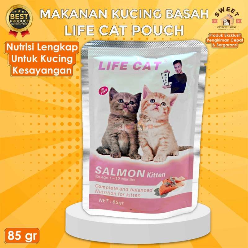 Wet food untuk kitten cheap