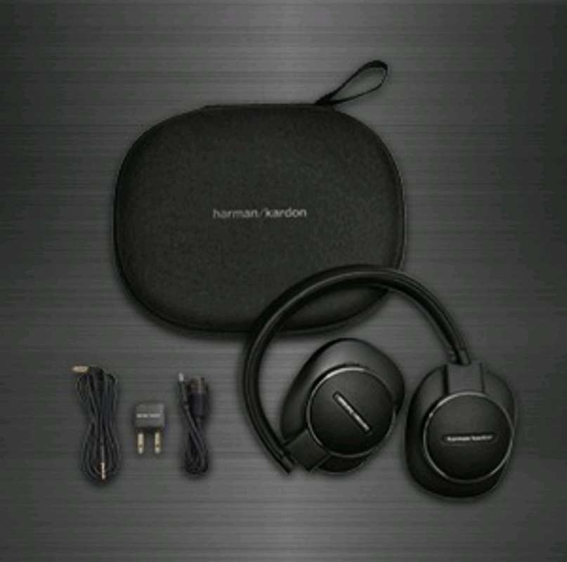 HARMAN KARDON Fly ANC delivers premium quality sound.