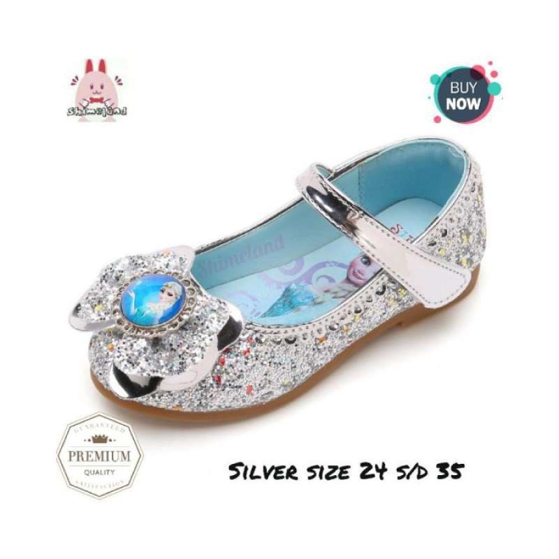 frozen sparkly shoes
