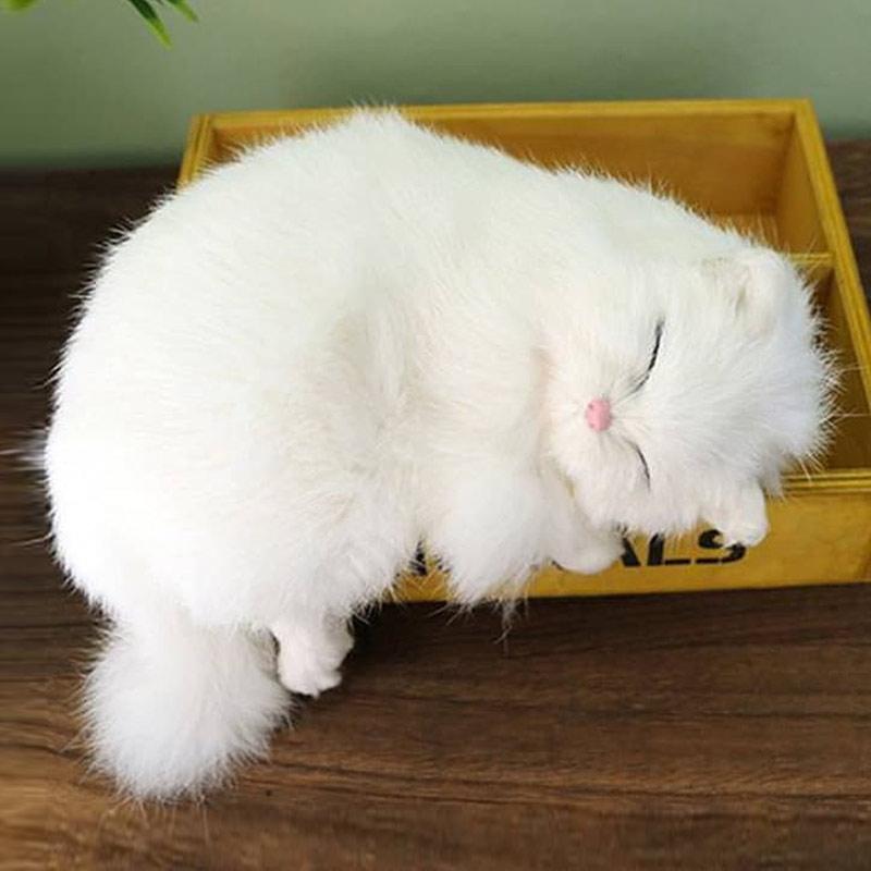 Jual Oem Neko Kucing Boneka Putih Impor Online Oktober 2020 Blibli Com