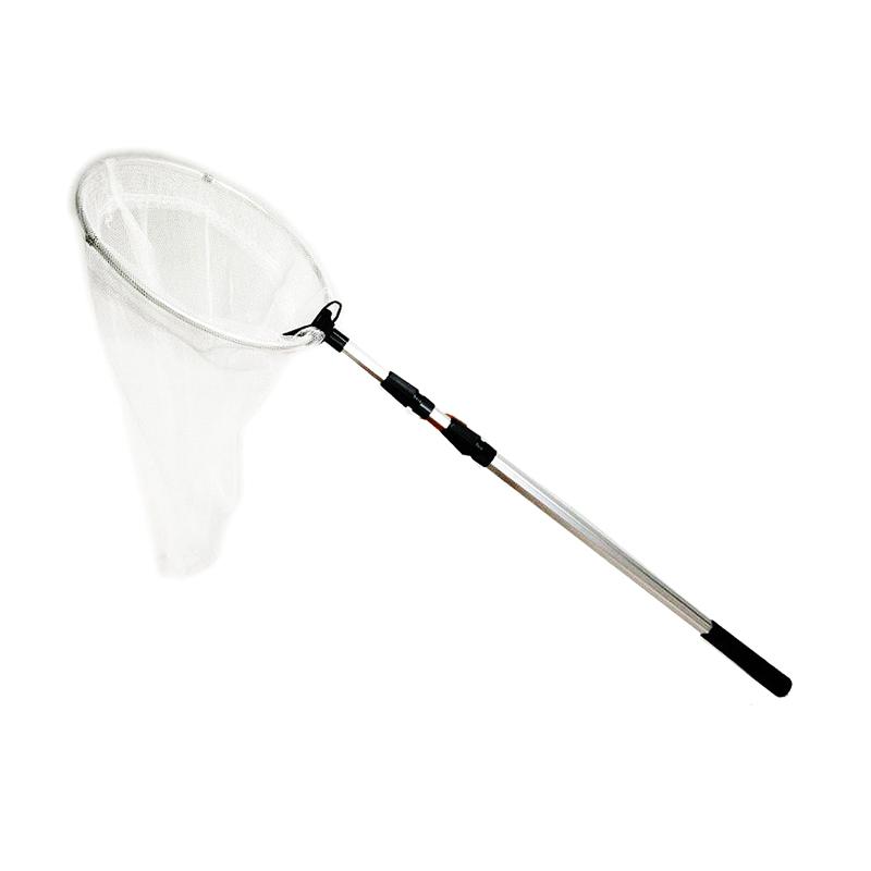 Jual Eds Telescopic Handle Bug Butterfly Insect Net Professional Bug Insect Folding Catching Net 50 Cm Online Januari 2021 Blibli