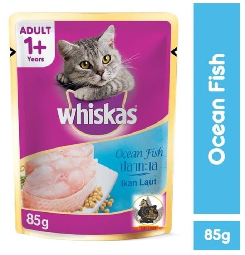 Pet shop murah near outlet me