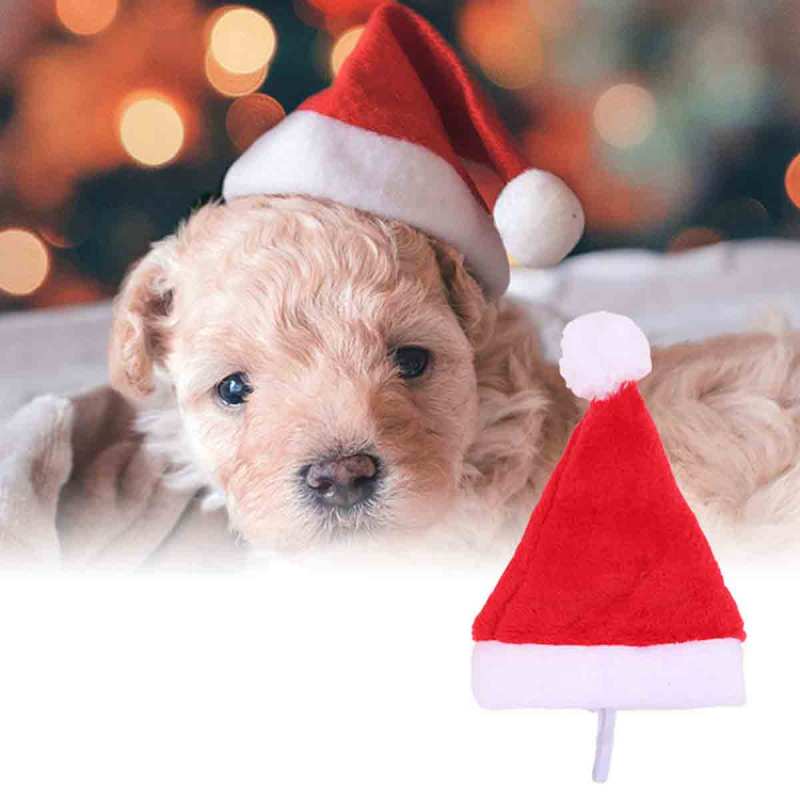 Jual Bluelans Christmas Holiday Costume Plush Pet Dog Santa Hat Party Supplies Decor Xmas Gift Online Oktober 2020 Blibli Com