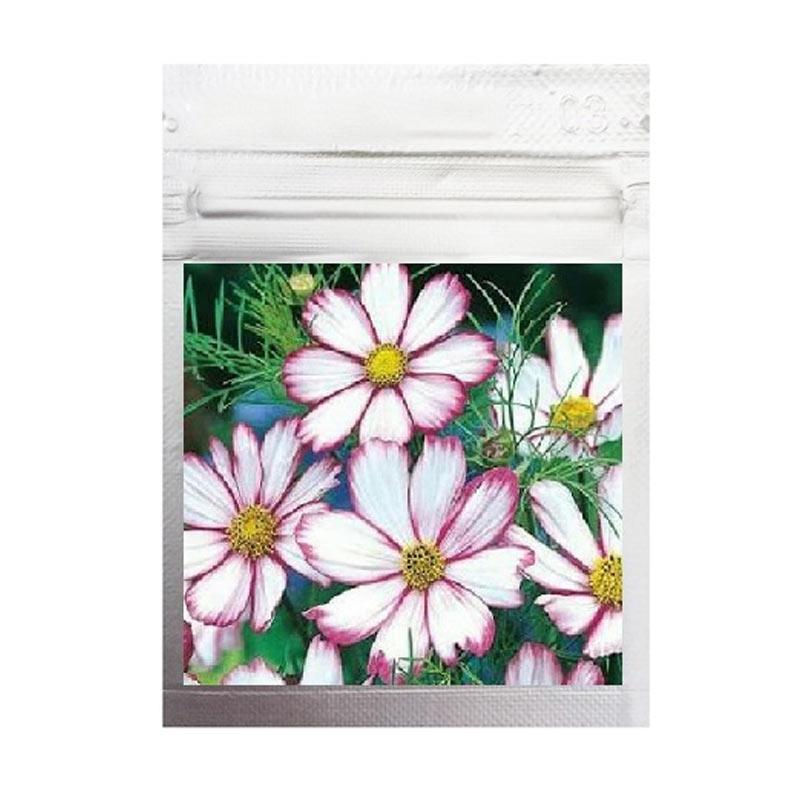 Jual Oem Biji Bunga Cosmos Candy Bibit Tanaman 10 Benih Kemasan