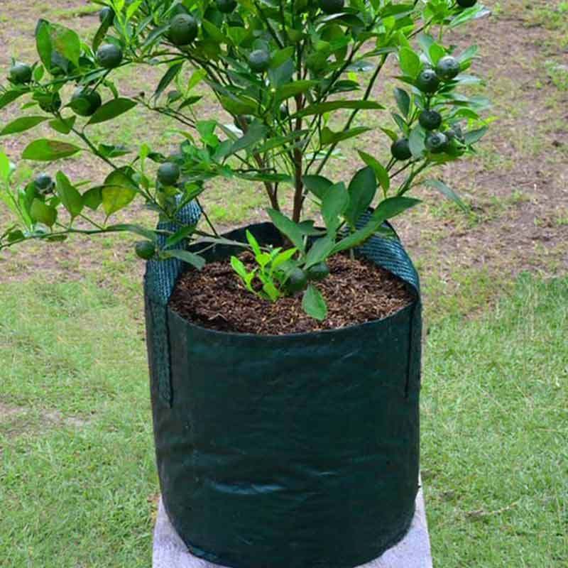 Jual Surya Guna Grosir Planter Bag 35 L Online Februari 2021 Blibli Jual planter bag tanaman buah, grosir planter bag di malang, jual planter bag di jogja, grosir planter bag kami jual secara eceran maupun grosir. surya guna grosir planter bag 35 l