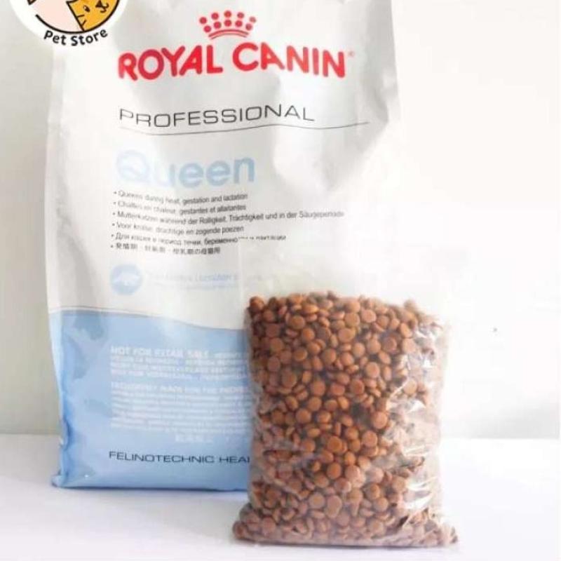 Royal canin professional queen new arrivals