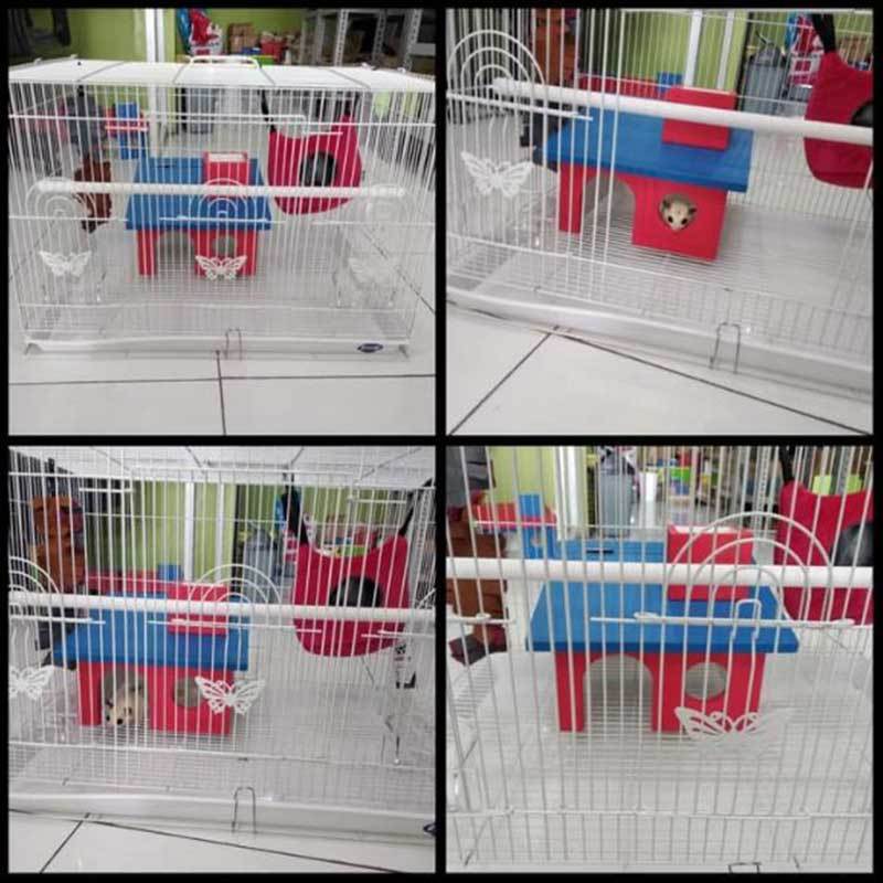 Jual Happy Tails Hiding Box Sugar Glinder Online November 2020 Blibli