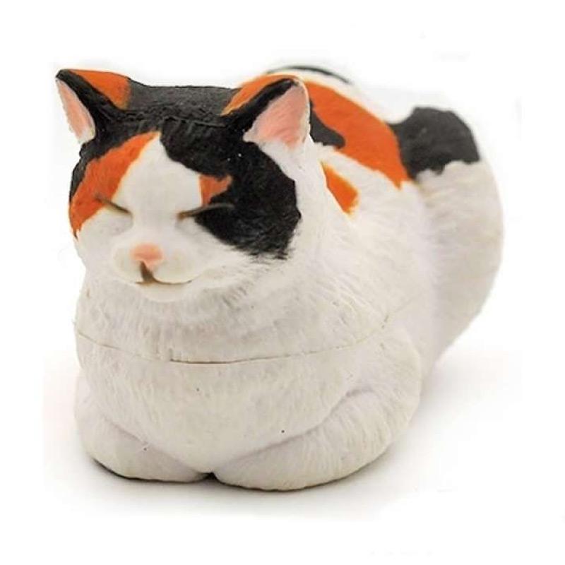 Takara tomy cat 2025